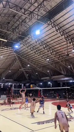 Volleyball 