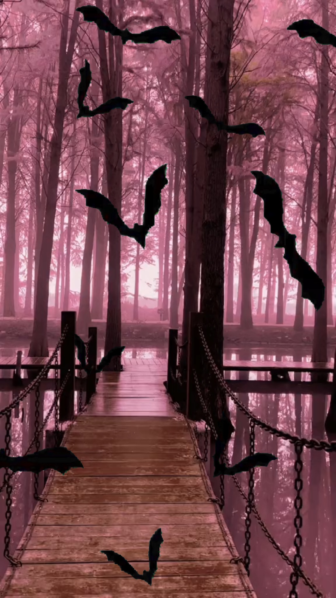 Morcegos 🦇