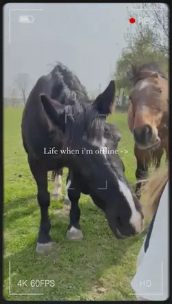 Life when im offline