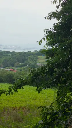 보고 싶은 친구