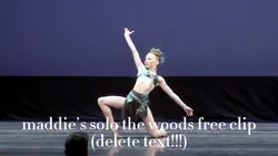 The Woods
