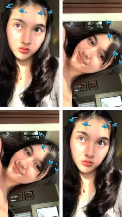 bird bisa digeser