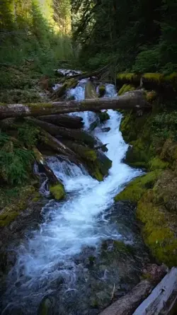 natural beauty explo