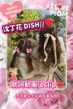 母の日/沈丁花 DISH//