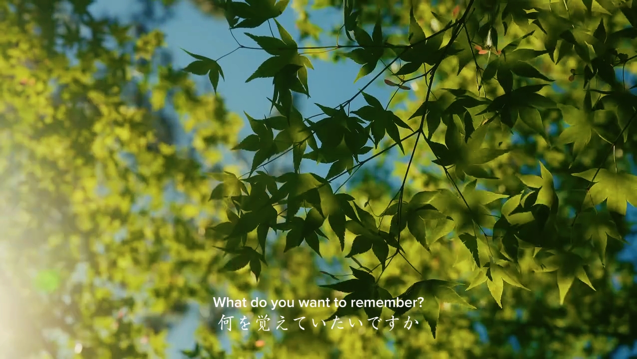 いつかこの景色と共に