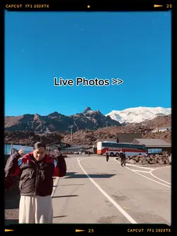 Live Photos 