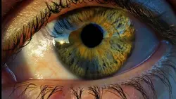 eye trend filterzoom