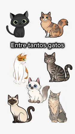 Mi gato favorito 
