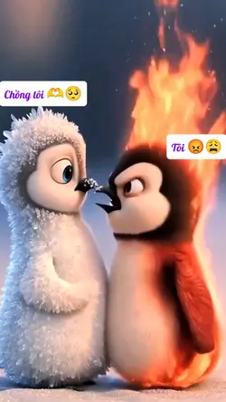 mẫu vợ chồng 1 ảnh
