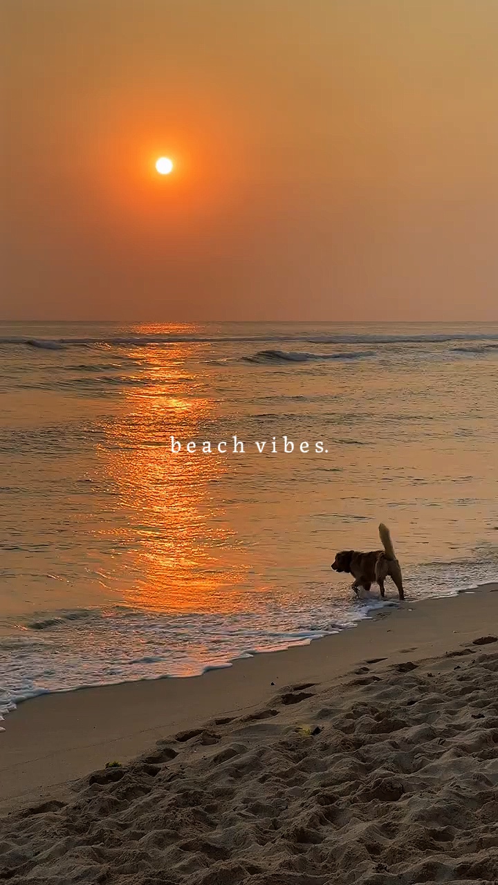 ambiance de plage