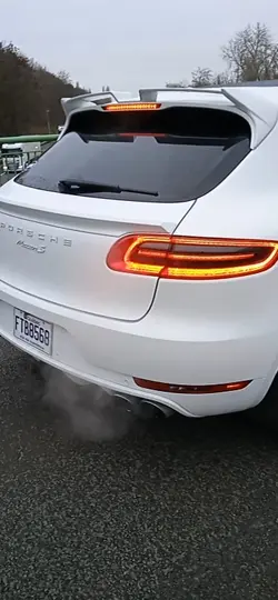 Macan 