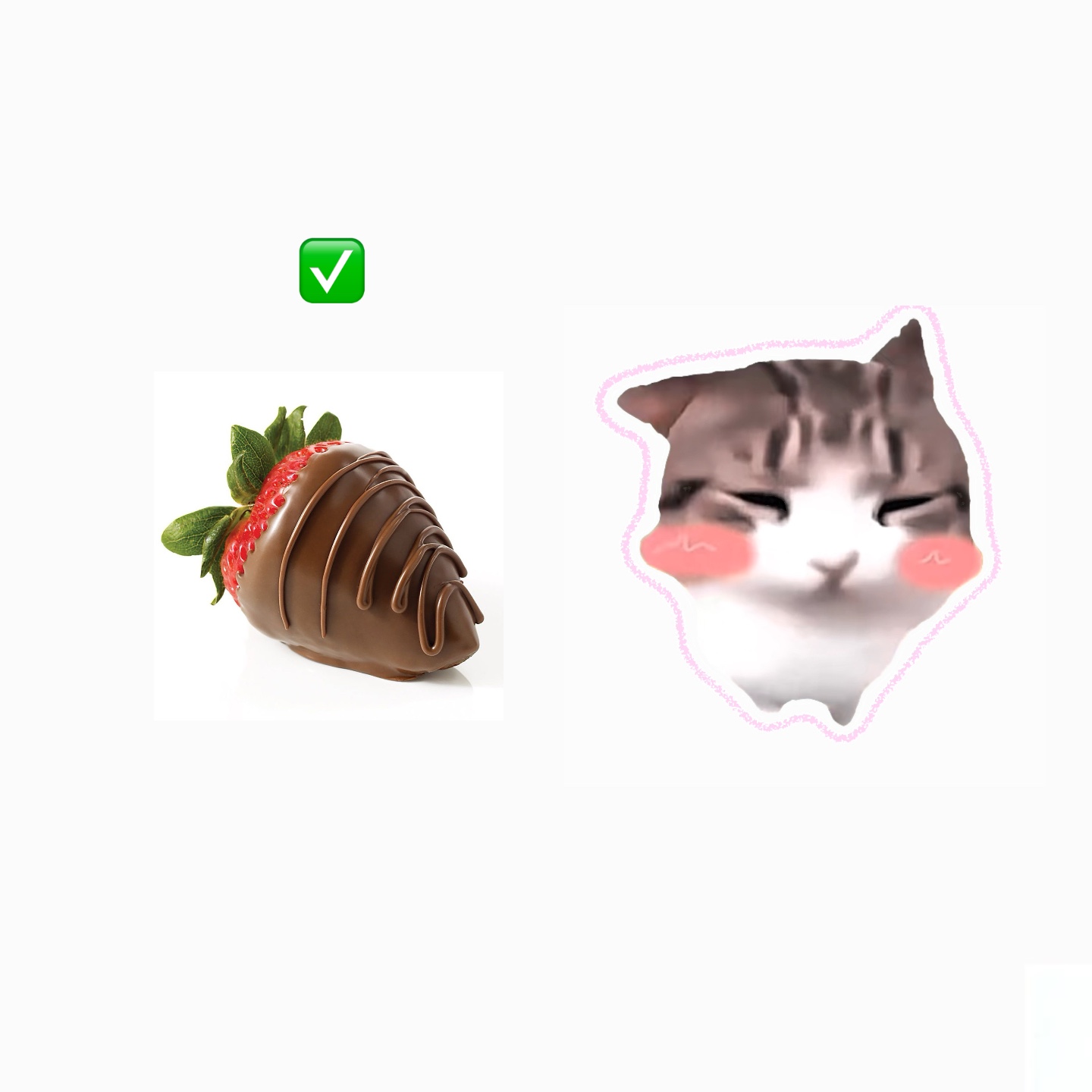 dam dam di di cat