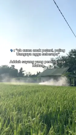 QUOTES STORY