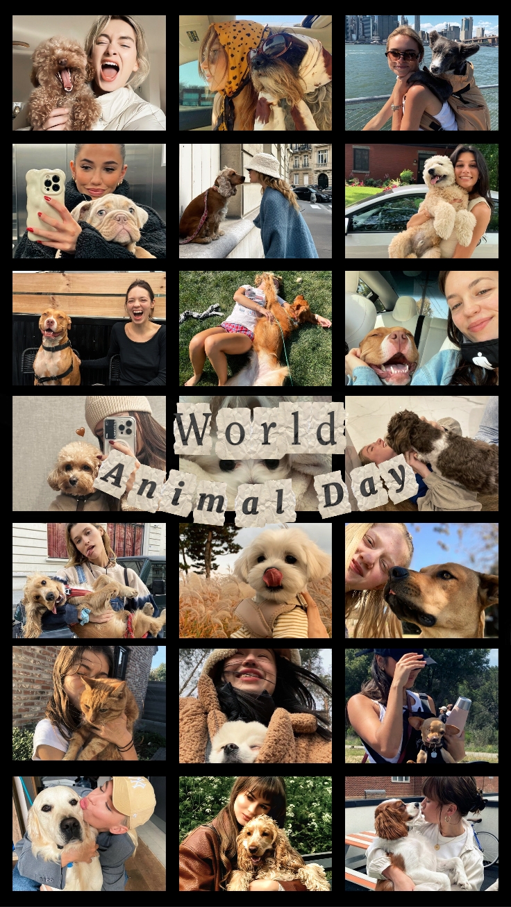 World animal day