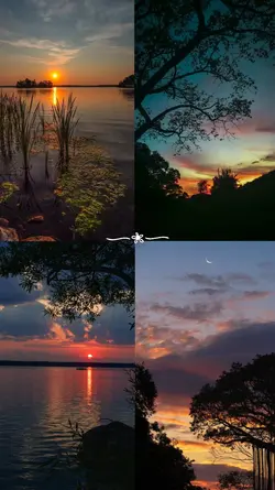 sunset collage 