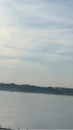 Kuşlar