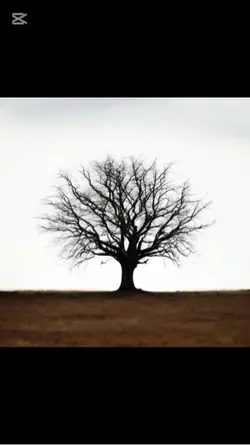 Poison tree