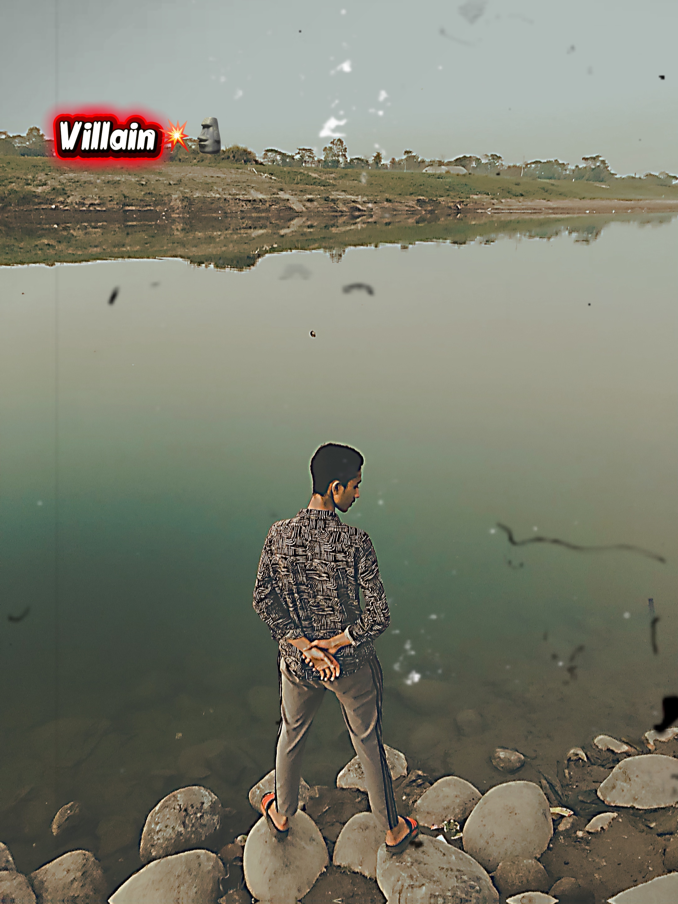 Cover Picture