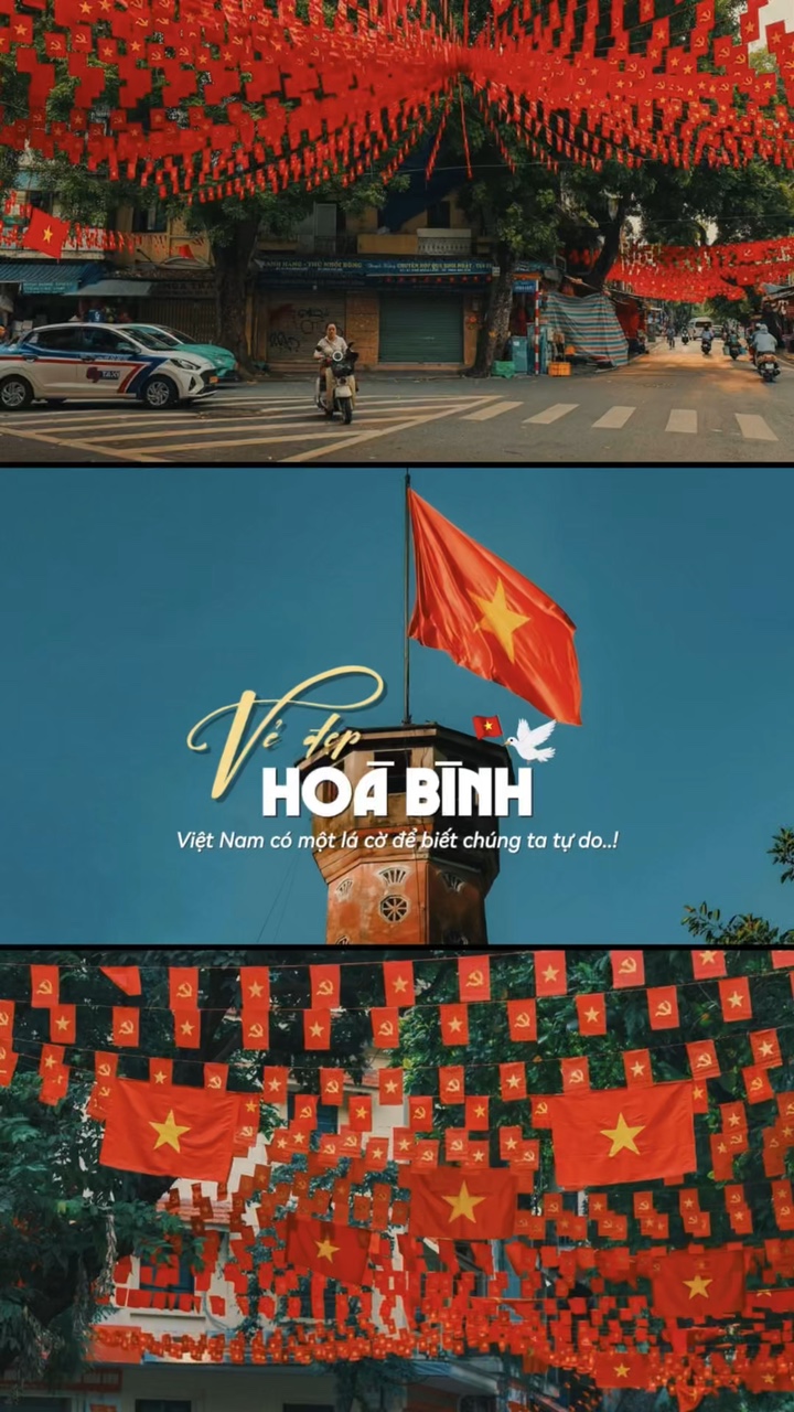 Việt Nam có 1 lá có🇻🇳