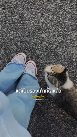 รองเท้าที่ดีที่สุด