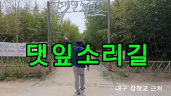 강창교 밑 비밀의 숲, 주인공은 당신