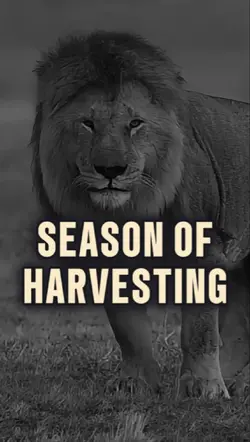 Season