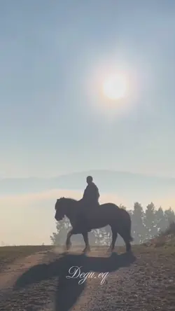 Smooth slowmo Spirit