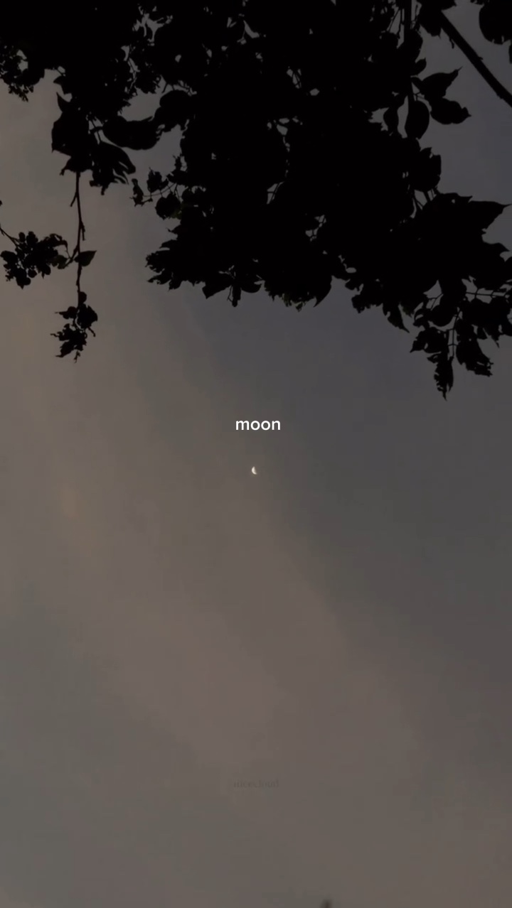 Falando com a lua
