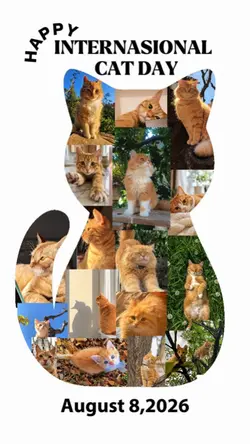 Happy Cat Day 2026