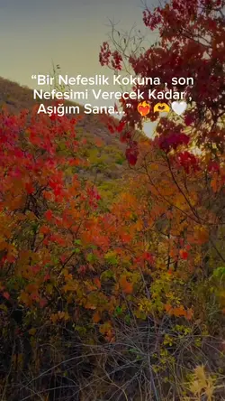 Yeni şablon