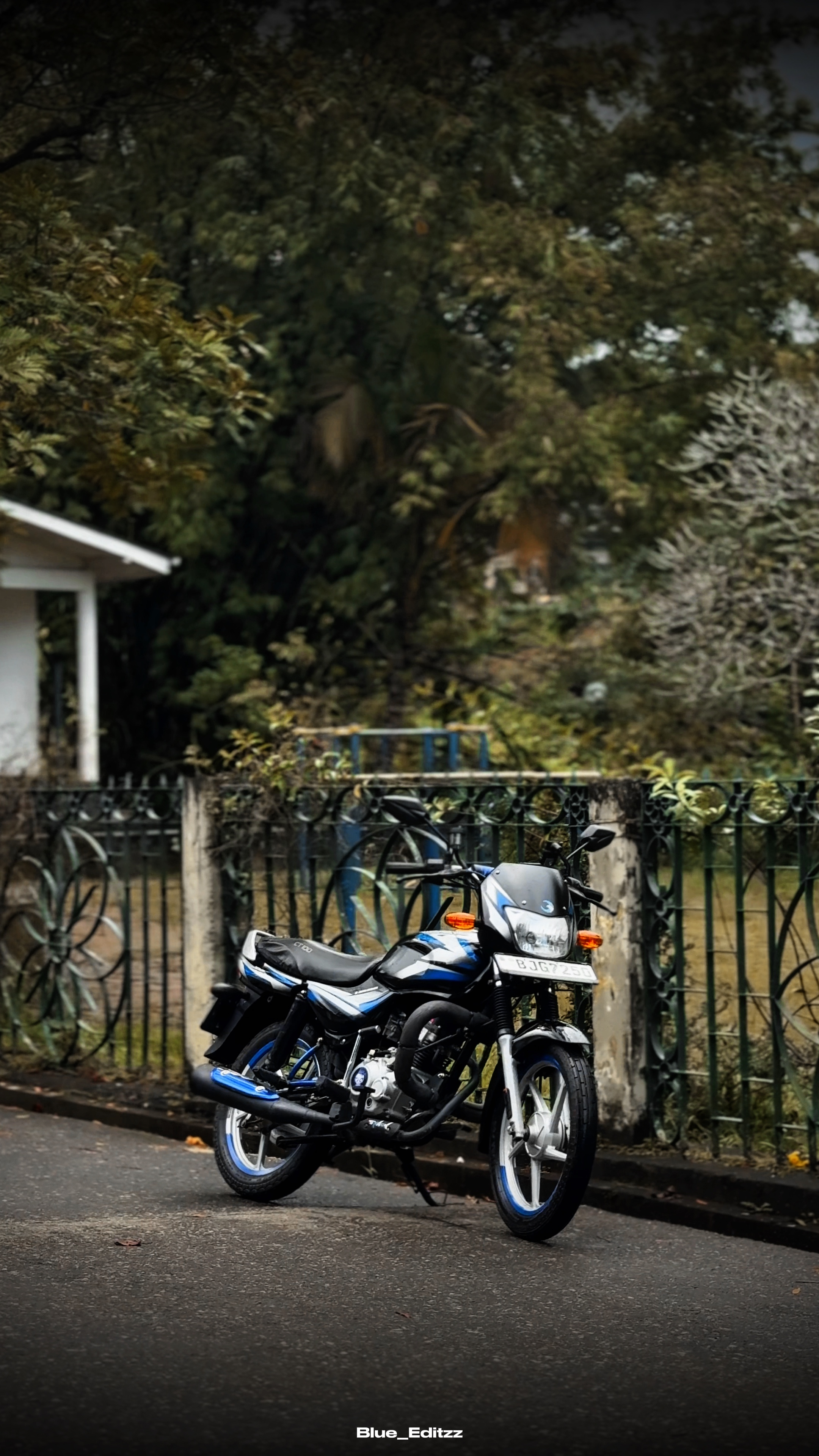 Cover Picture