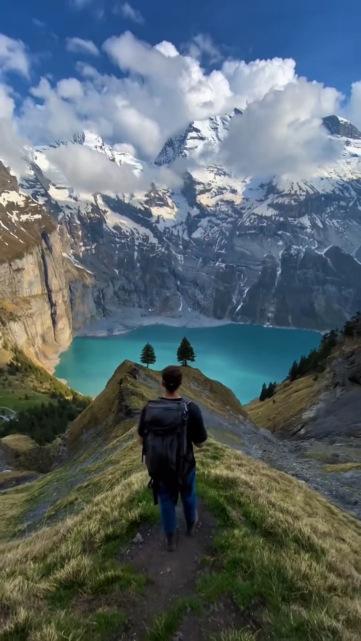 nature video 