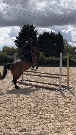 1 clip horse slomo