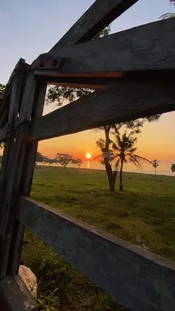 Summer vlog