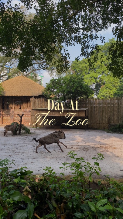 Dia no zoológico