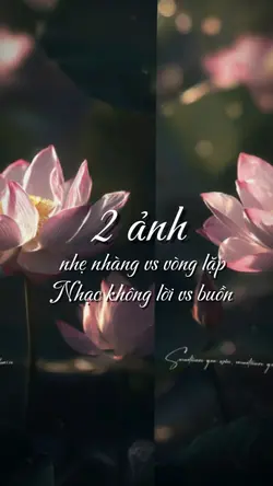 Nhạc không lời nè 