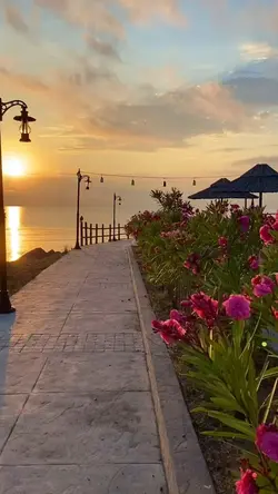 Yeni şablon