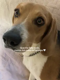 La amo 🤍