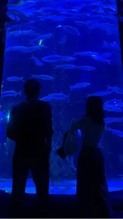 เล็กๆบ่อยๆ