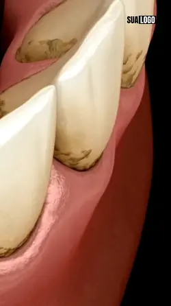 dentista