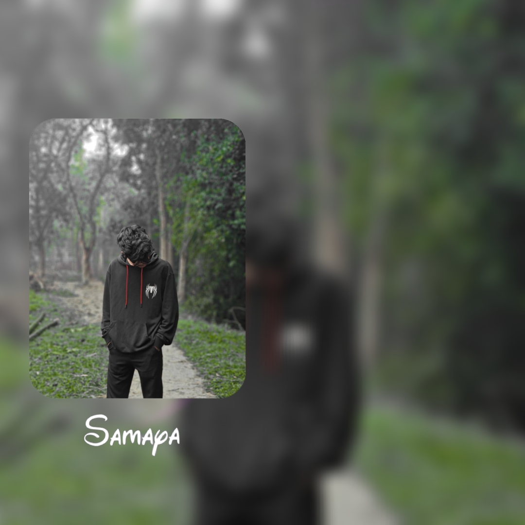 Cover Picture