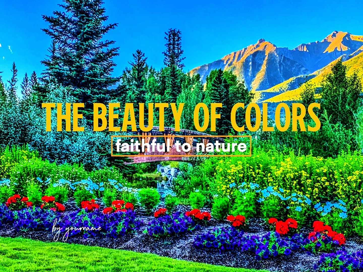 The beauty of colors