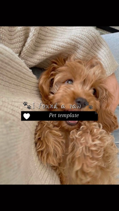 bir pençe buldum 🐾 