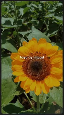 sariling mundo