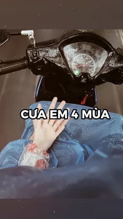 CƯA EM 4 MÙA