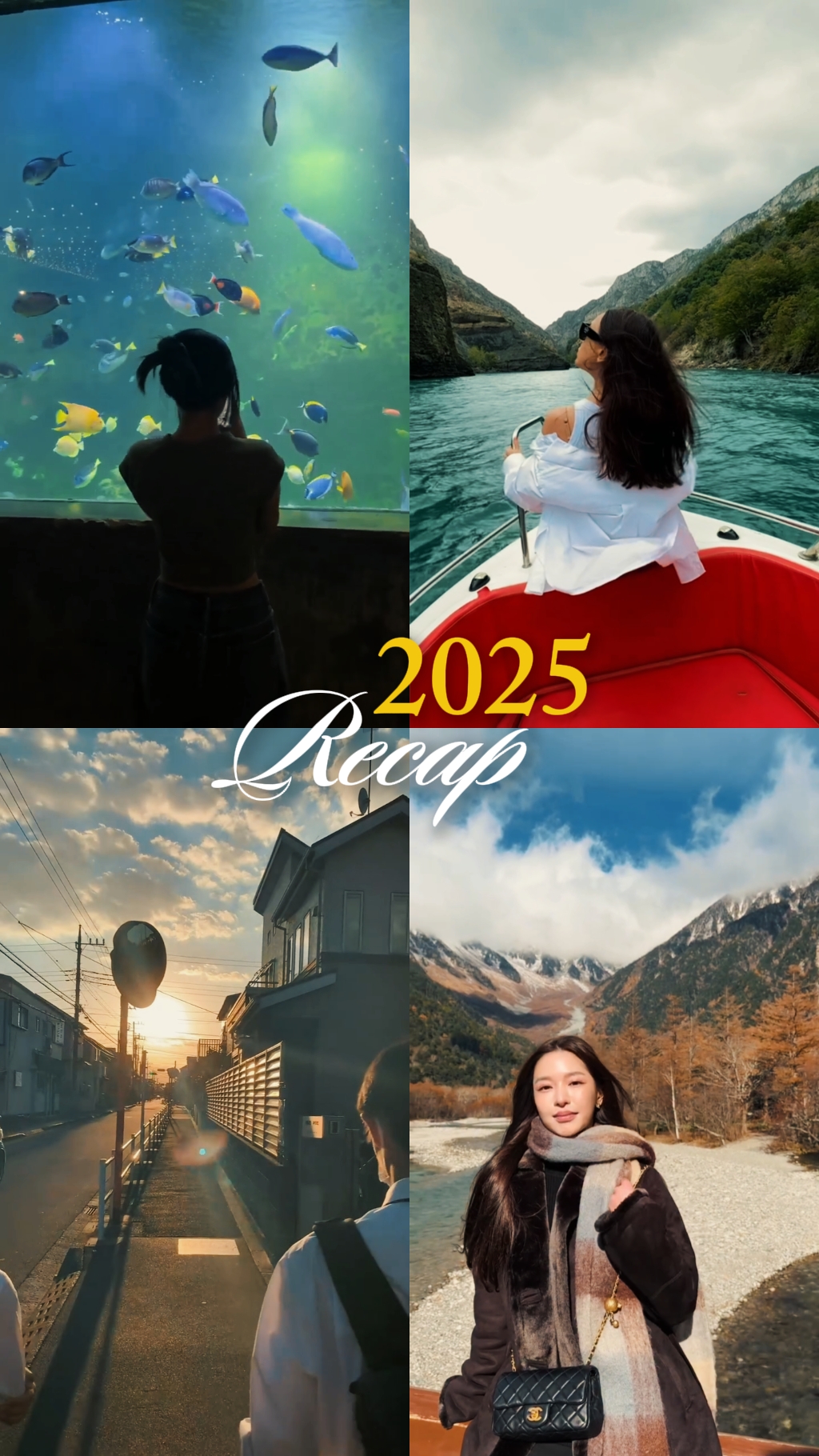 2025 요약