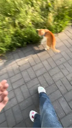 I LOVE ANIMALS