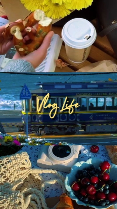 Vida do vlog