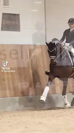 Horse Slowmo💕