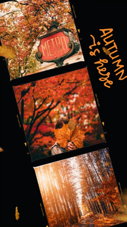 autumn recap 2024